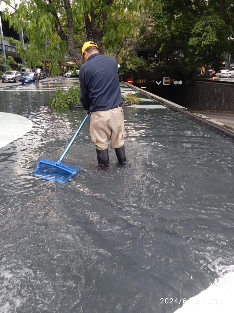 Servicio de limpieza de un espejo de agua